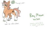 Pony Mason Ref