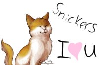 My Cat Snickers