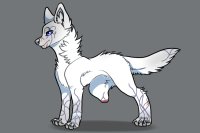 simple white wolf,,