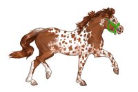 Ferox Welsh Pony #762