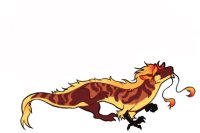 dragon :)