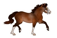 Ferox Welsh Pony #766