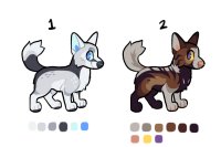 2/2 adopts open