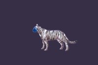 Unnamed  tiger