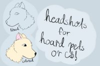 headshots for 3c$ or hoard pets