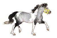 Ferox Welsh Pony #768