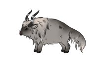 Alpenglow Buffalo | #0001