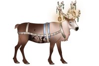Baltic Reindeer #067 Baltic Reindeer #067