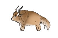 Alpenglow Buffalo | #0002