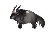 Alpenglow Buffalo | #0006