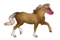 Ferox Welsh Pony #769
