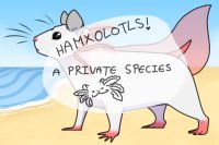 Hamxolotls! :D