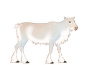transparent version #069 transparent version #069