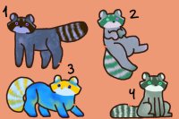 Coon Adopts 4/4 Available <3