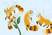 bee foxes!