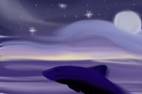 Dolphin at Night