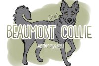 NEW! Beaumont Collie Artist Search V.3