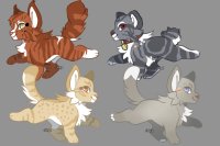 Cryptic Tortie Adopts - CLOSED