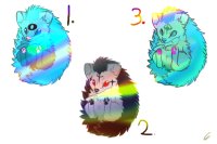 Rainbow Hedgehogs!