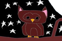 Owl In The Night!