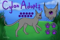 Cylon Adopts INTEREST CHECK