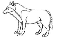 Disproportionate Wolf
