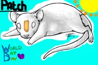 Patch ( world rat day )