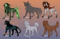 open canine designs