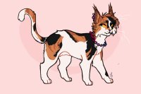 stars pride event - coolrat's kitty