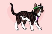 stars pride event - lovage's kitty