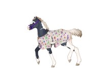 RT #F897 - Foal Reference