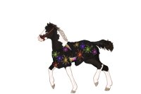 RT #F897 - Foal Reference