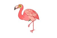 one(1) single flamingo adopt