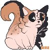 Pixel Cats - 14-6