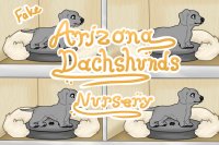 Arizona Dachshunds Nursery Artist Search
