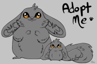 Hamster Bunny Adopts!-REVAMP