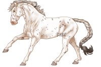 N.R.E Artist Entry 3 N.R.E Artist Entry 3