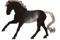 N.R.E Artist Entry 4 N.R.E Artist Entry 4