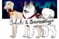 Saluki & Samusky Adopts // Saving Aurora Village Interactive