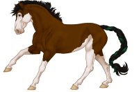 Nile River Equid #12 Nile River Equid #12