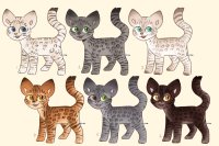 Rosette Cat Adopts (closed