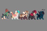 Dog adopts [1:5 open]