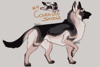 #9 - Scoinwolf