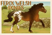 Ferox Welsh Ponies | V.3