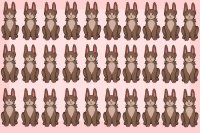 30 bunnies