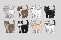 Cats for a WL pet