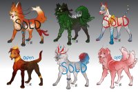 Canine Adopts [closed]