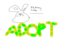 Adopt a blob Bunny