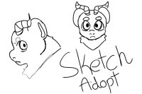 Sketch adopt