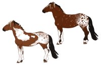 Horse Adopts